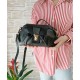 Borsa in Pelle Nera Dafne Borsa in Pelle Nera Dafne