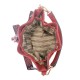 Secchiello in Similpelle Rosso Sally Secchiello in Similpelle Rosso Sally